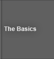 The Basics